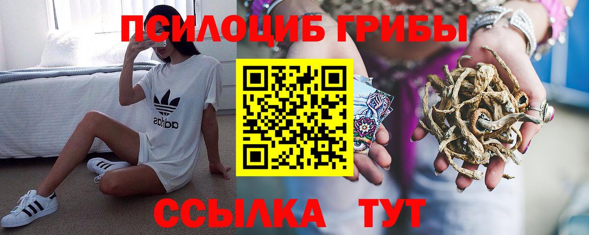 Галлюциногенные грибы мухоморы Егорьевск