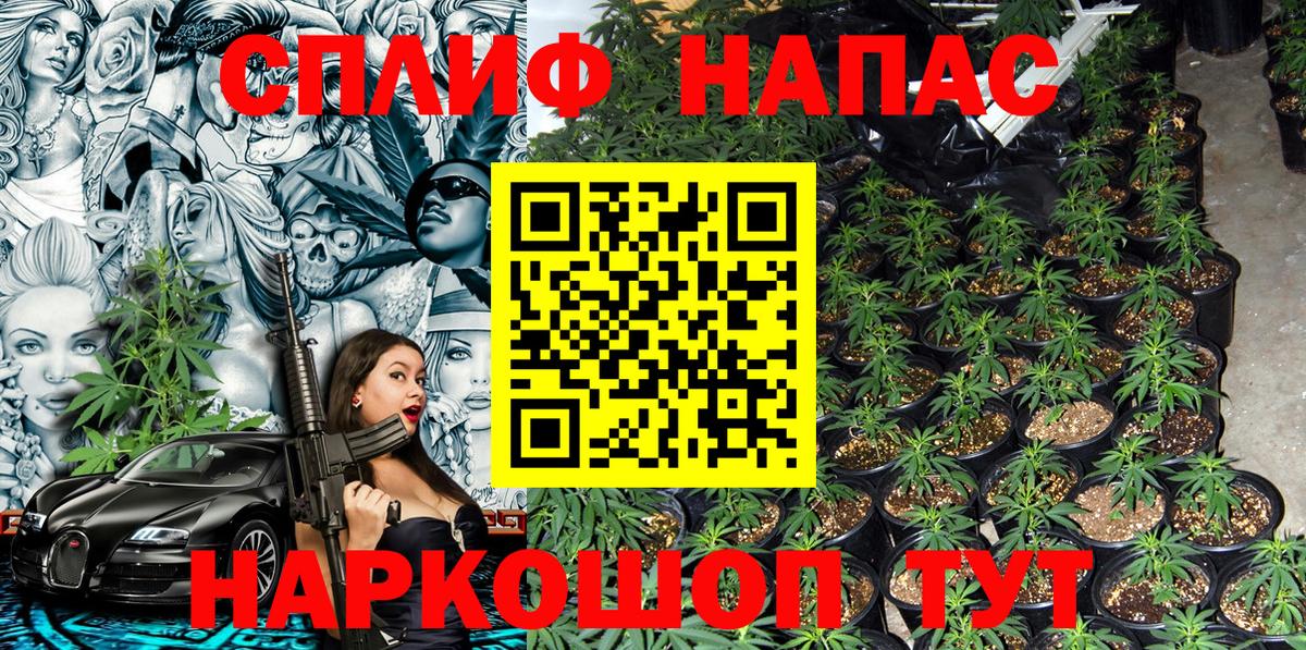 Канабис семена  Шишки марихуана MAZAR  Егорьевск 